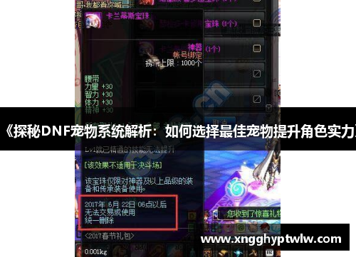 《探秘DNF宠物系统解析：如何选择最佳宠物提升角色实力》